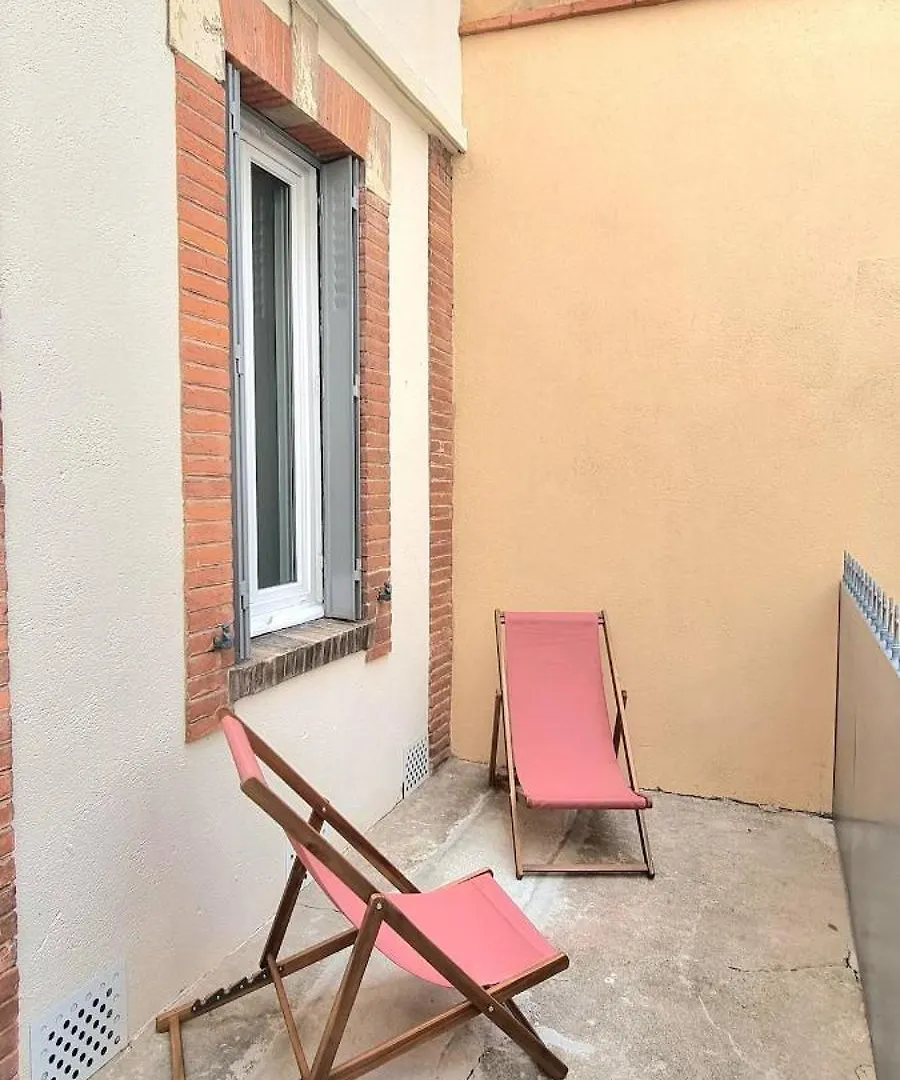 Grand Studio Avec Terrasse - Gare - Metro - Wifi Toulouse